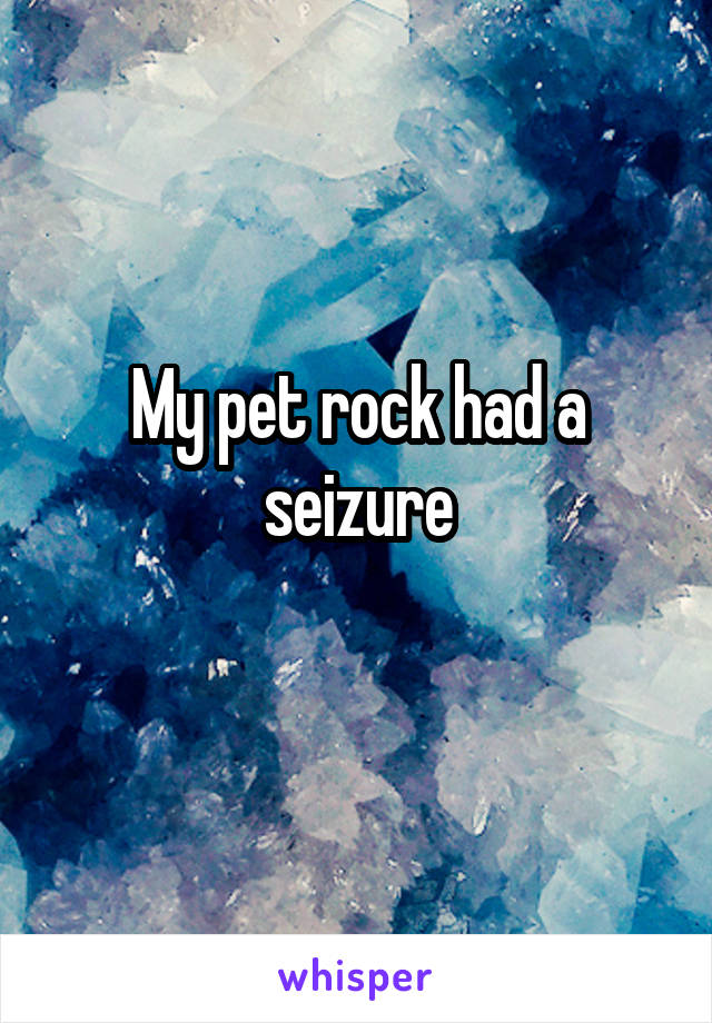 My pet rock had a seizure
