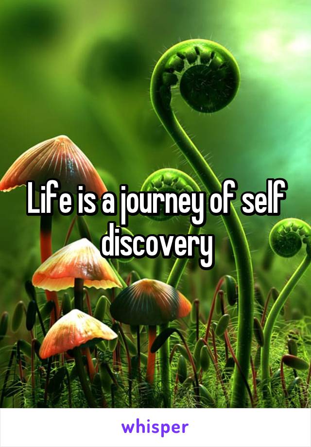 Life is a journey of self discovery