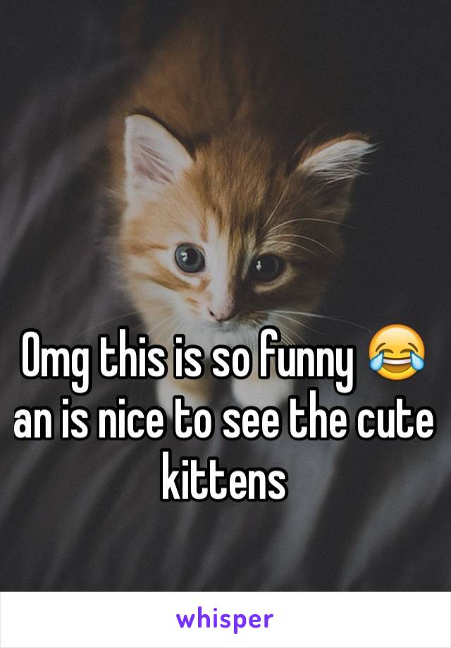 Omg this is so funny 😂an is nice to see the cute kittens 