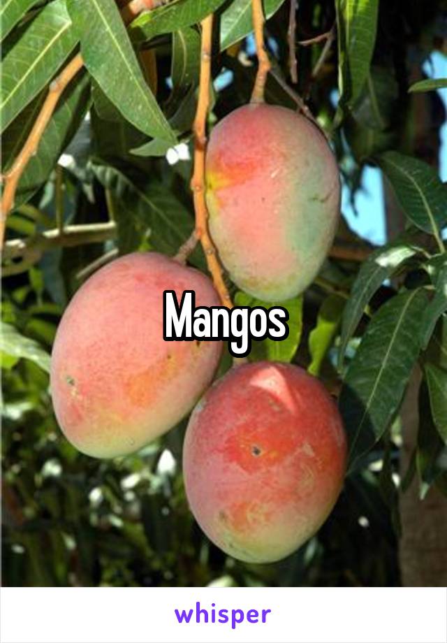 Mangos