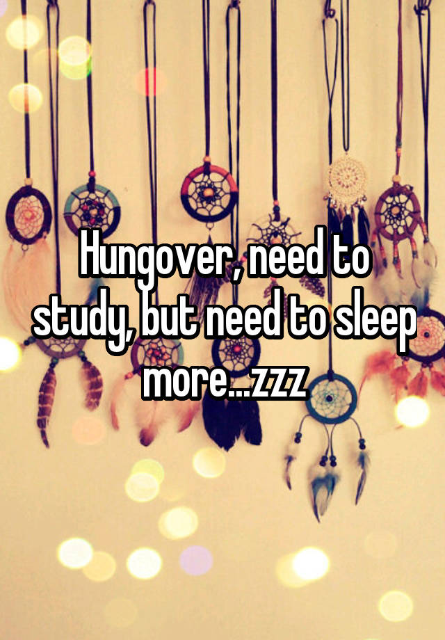 hungover-need-to-study-but-need-to-sleep-more-zzz