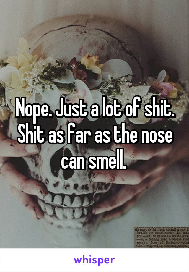 Nope. Just a lot of shit. Shit as far as the nose can smell. 