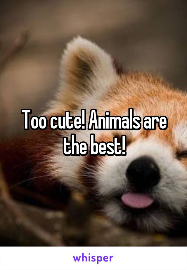 Too cute! Animals are the best!