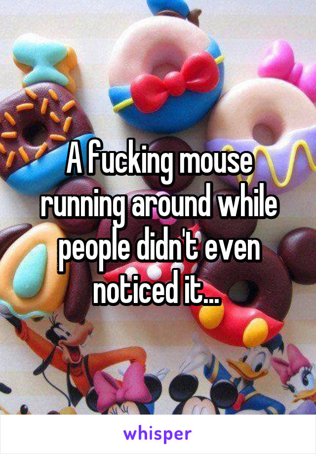 A fucking mouse running around while people didn't even noticed it... 