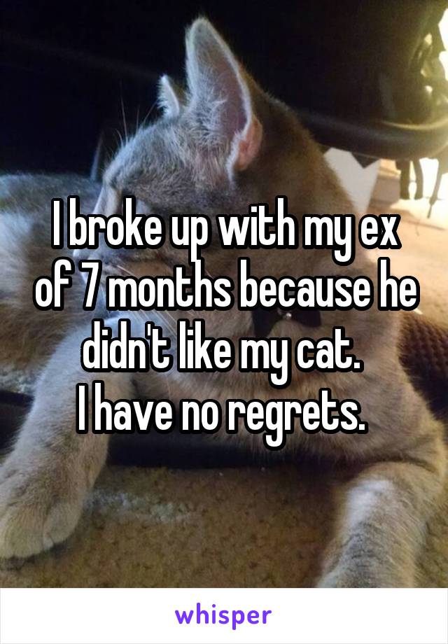 I broke up with my ex of 7 months because he didn't like my cat. 
I have no regrets. 
