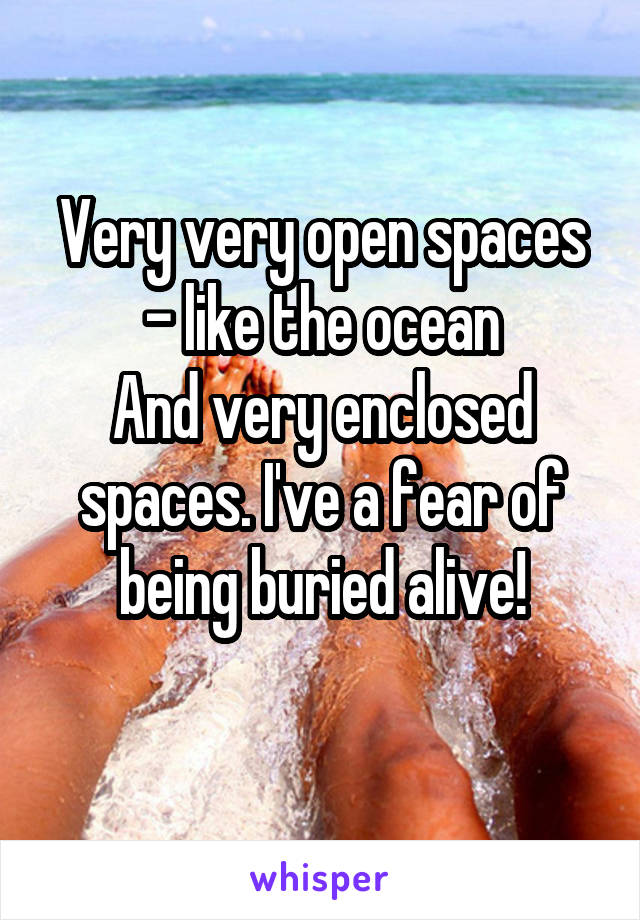 Very very open spaces - like the ocean
And very enclosed spaces. I've a fear of being buried alive!
