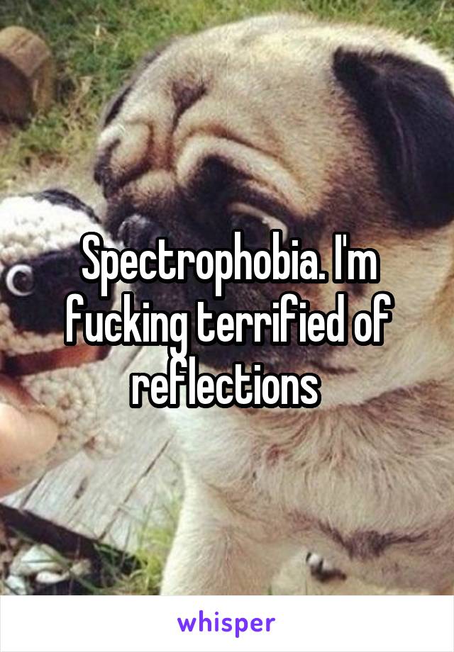 Spectrophobia. I'm fucking terrified of reflections 