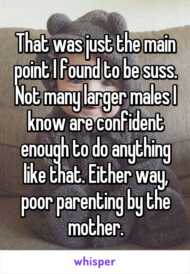 That was just the main point I found to be suss. Not many larger males I know are confident enough to do anything like that. Either way, poor parenting by the mother.