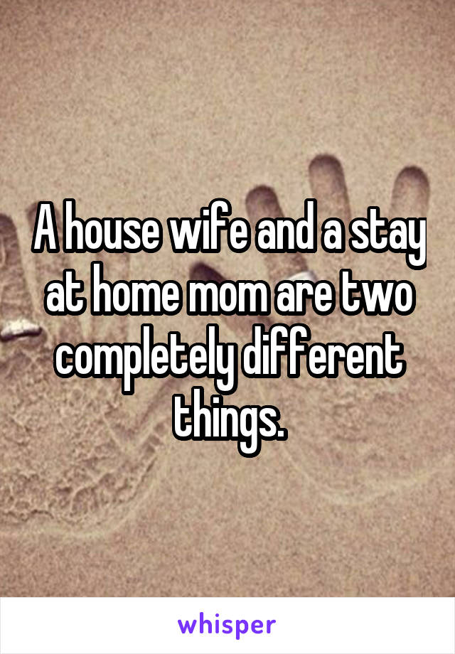 A house wife and a stay at home mom are two completely different things.