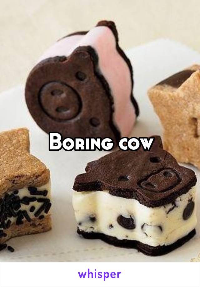 Boring cow
