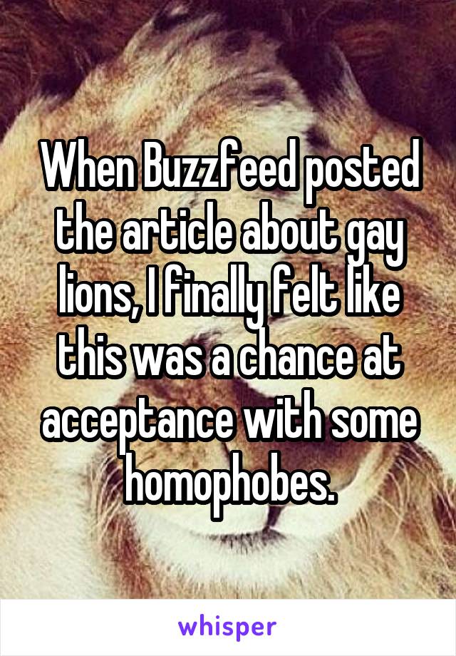 When Buzzfeed posted the article about gay lions, I finally felt like this was a chance at acceptance with some homophobes.