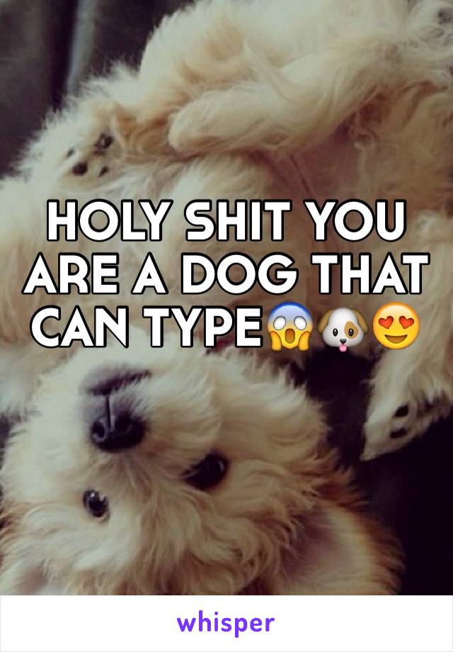HOLY SHIT YOU ARE A DOG THAT CAN TYPE😱🐶😍