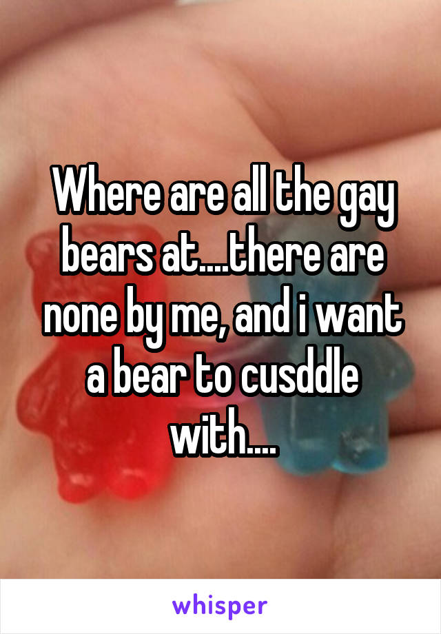 Where are all the gay bears at....there are none by me, and i want a bear to cusddle with....