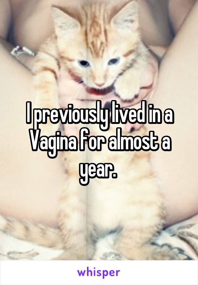 I previously lived in a Vagina for almost a year. 