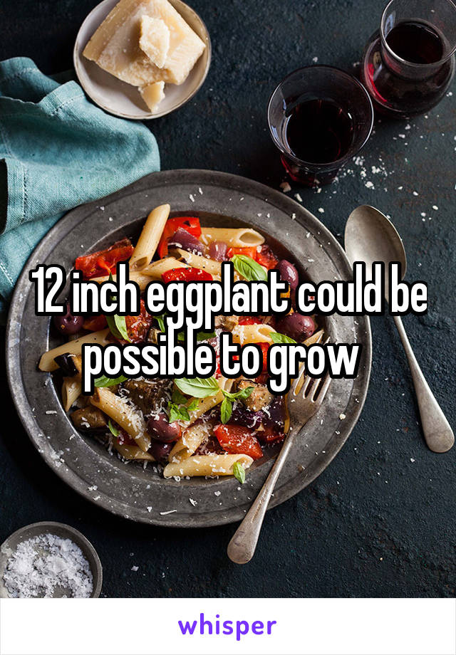 12 inch eggplant could be possible to grow  