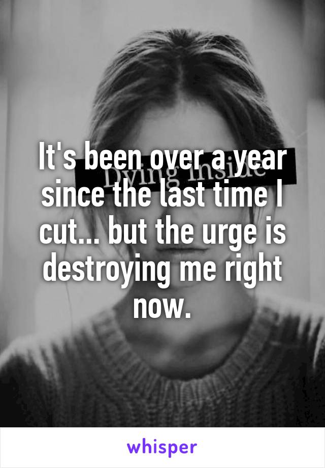 It's been over a year since the last time I cut... but the urge is destroying me right now.