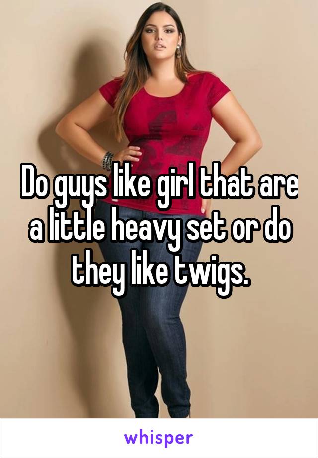 Do guys like girl that are a little heavy set or do they like twigs.