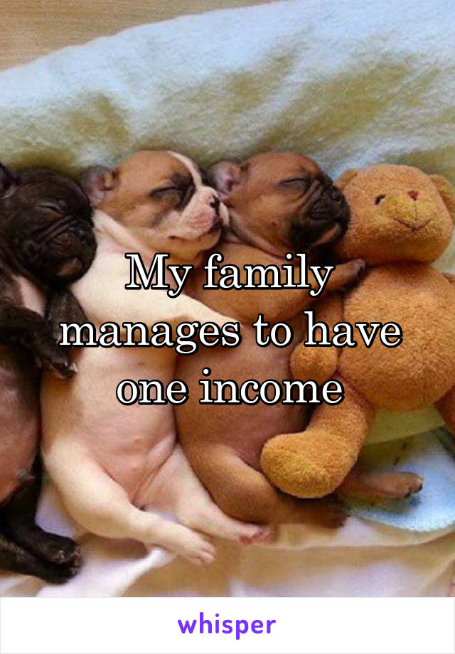 My family manages to have one income