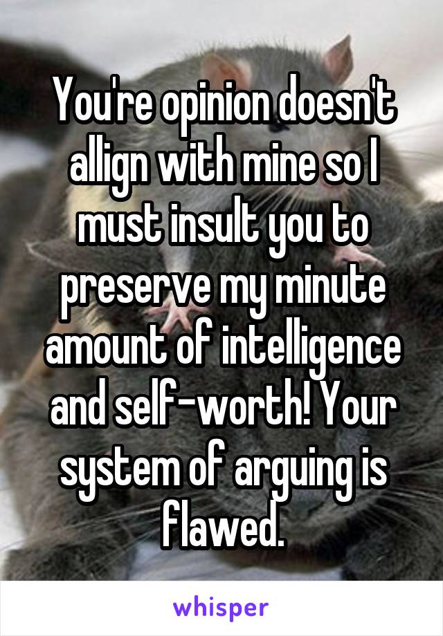 You're opinion doesn't allign with mine so I must insult you to preserve my minute amount of intelligence and self-worth! Your system of arguing is flawed.