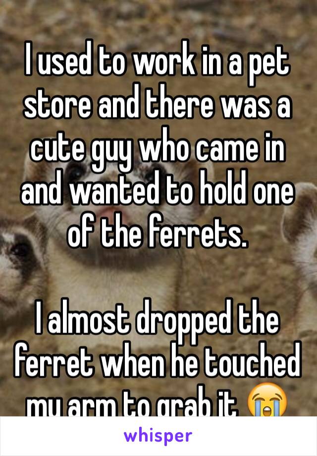 I used to work in a pet store and there was a cute guy who came in and wanted to hold one of the ferrets.

I almost dropped the ferret when he touched my arm to grab it 😭