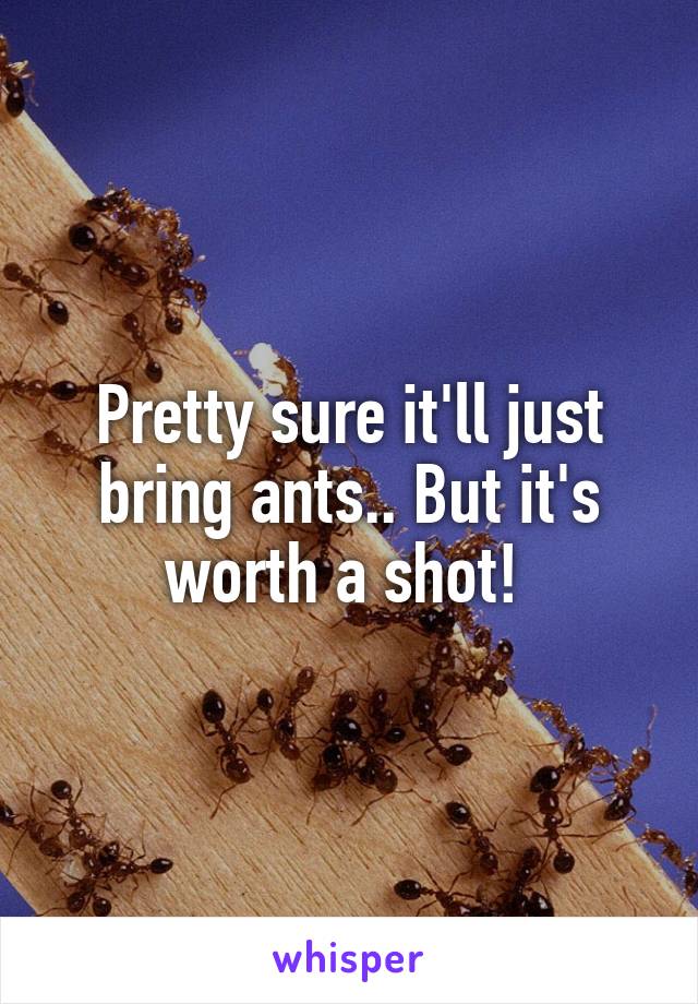 Pretty sure it'll just bring ants.. But it's worth a shot! 