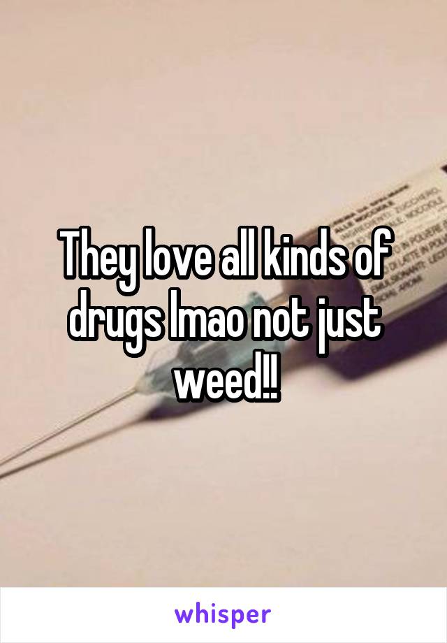 They love all kinds of drugs lmao not just weed!!