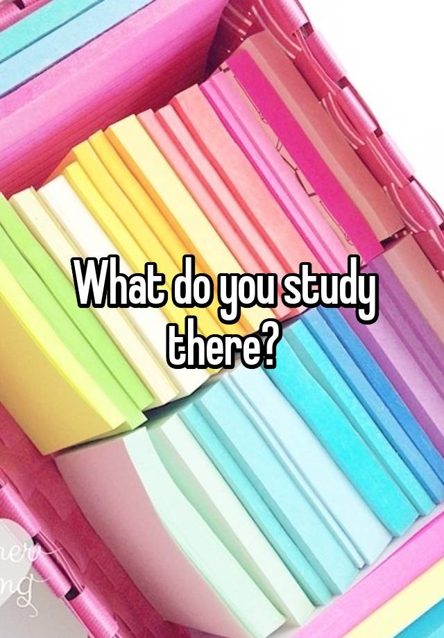 what-do-you-study-there