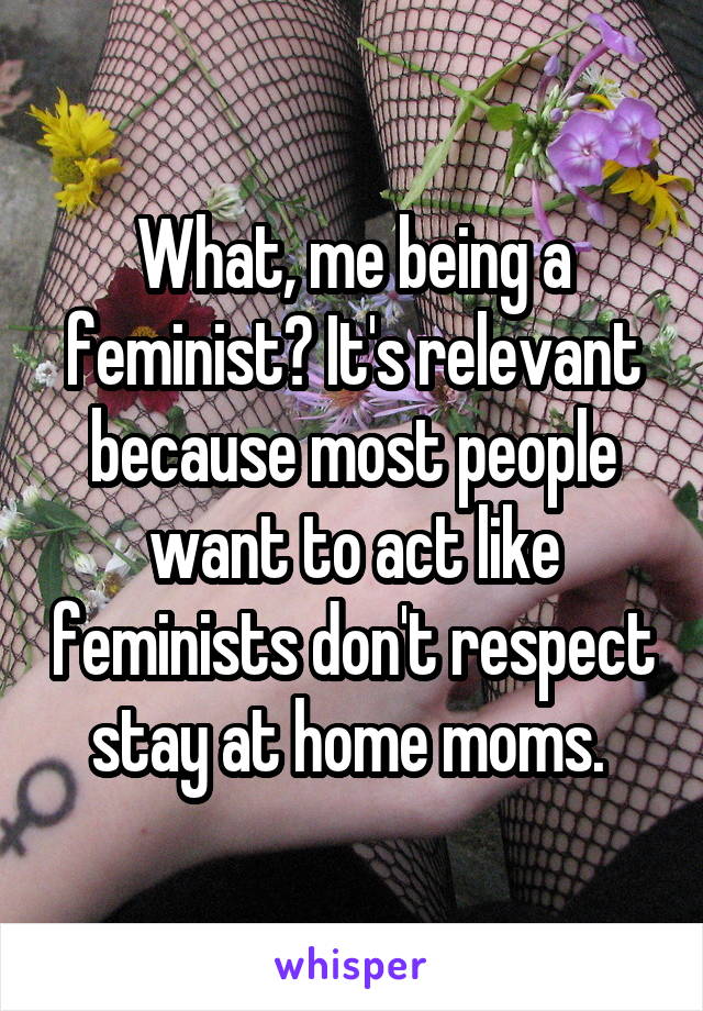 What, me being a feminist? It's relevant because most people want to act like feminists don't respect stay at home moms. 