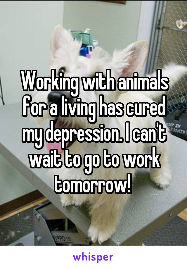Working with animals for a living has cured my depression. I can't wait to go to work tomorrow! 