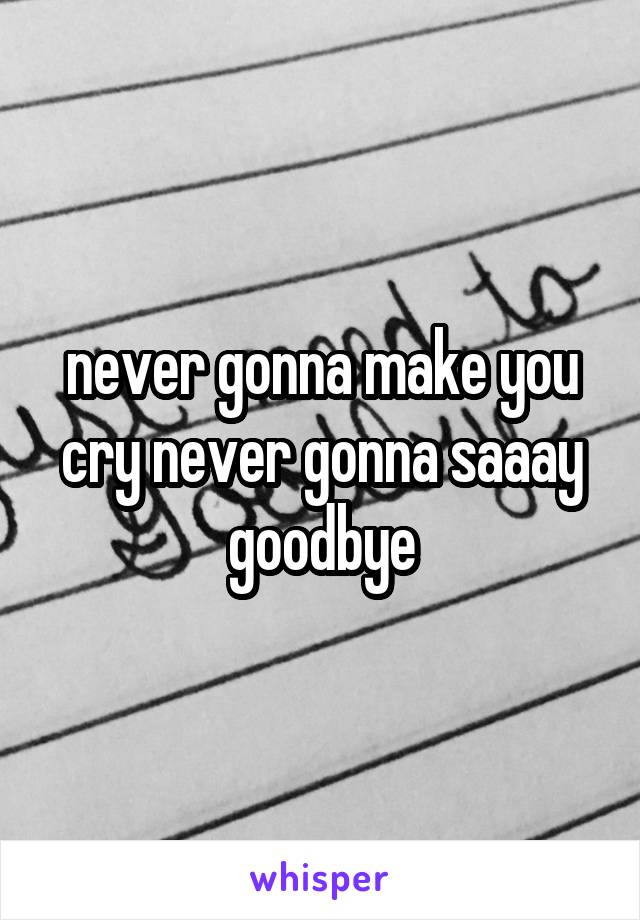 never gonna make you cry never gonna saaay goodbye