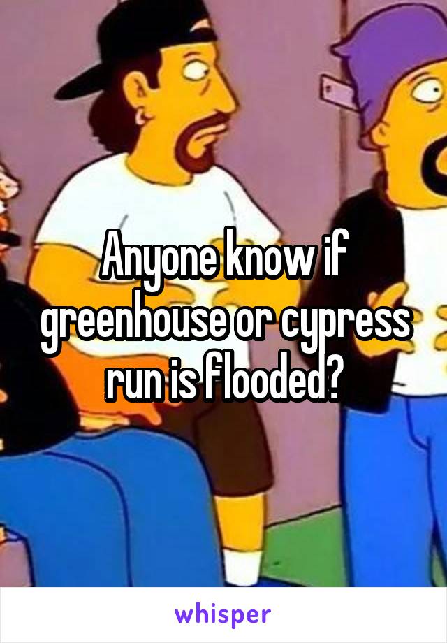 Anyone know if greenhouse or cypress run is flooded?