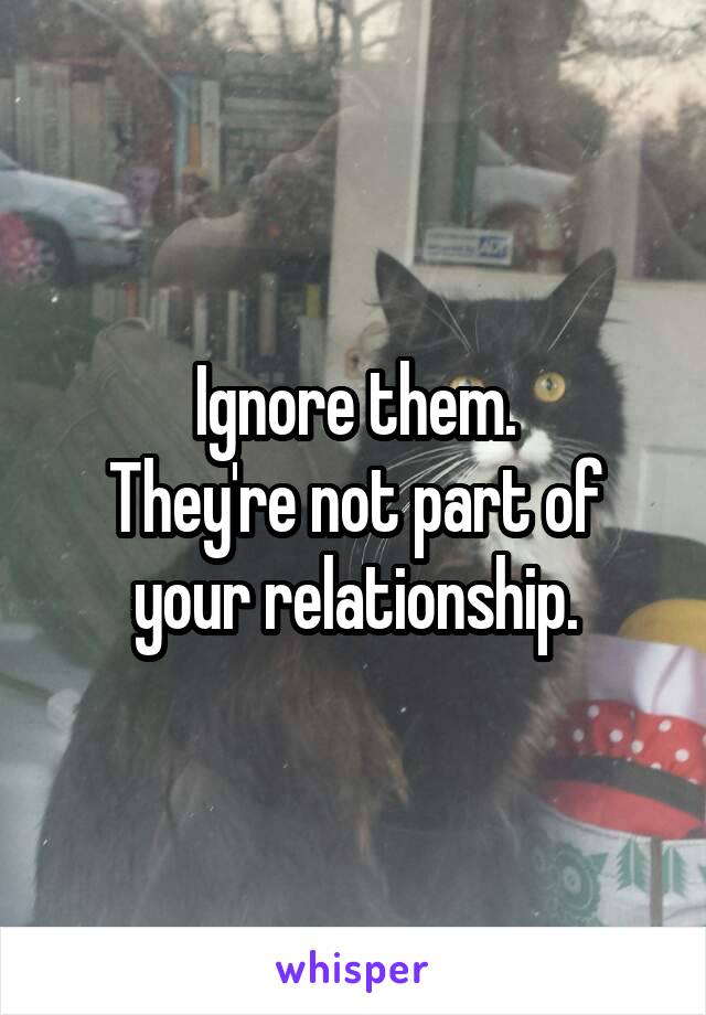 Ignore them.
They're not part of your relationship.