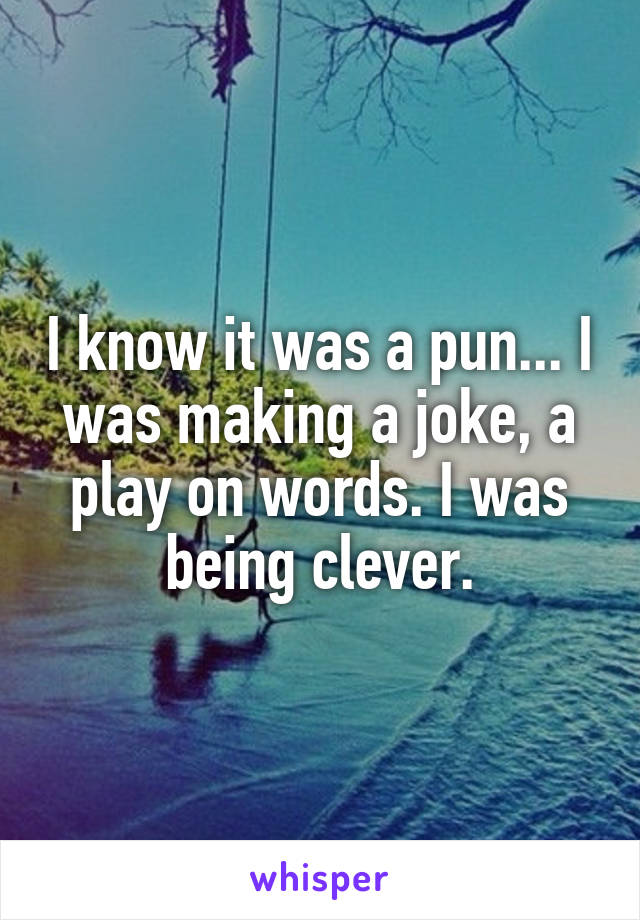 I know it was a pun... I was making a joke, a play on words. I was being clever.