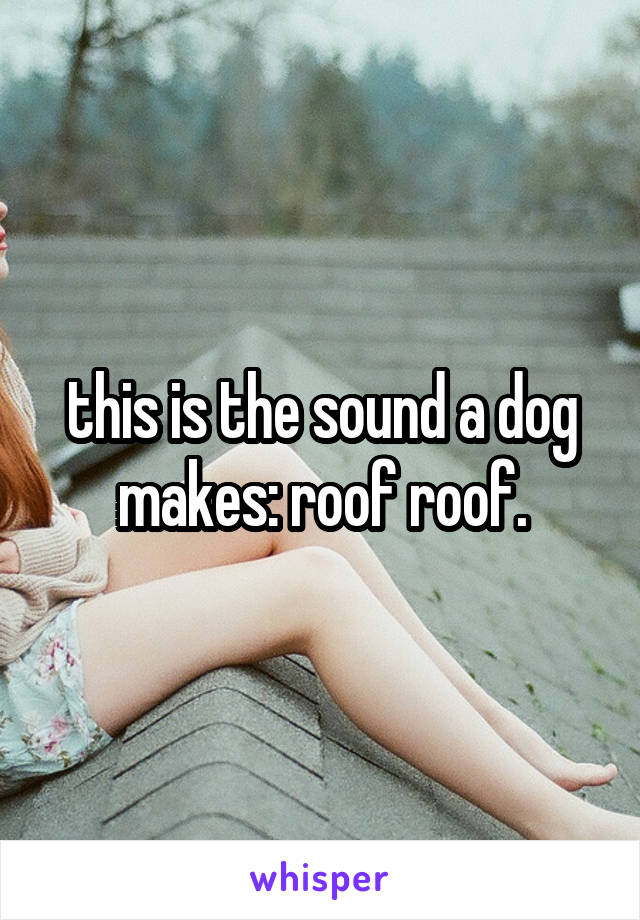 this is the sound a dog makes: roof roof.