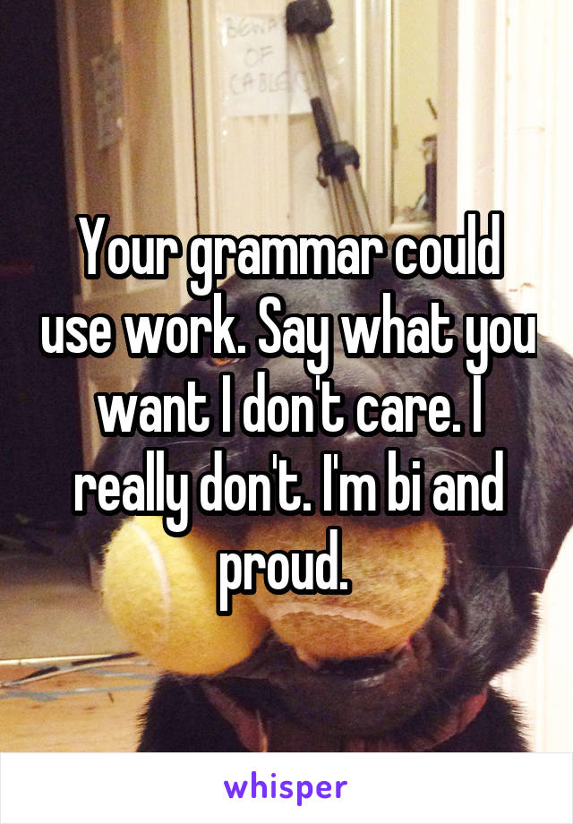 Your grammar could use work. Say what you want I don't care. I really don't. I'm bi and proud. 