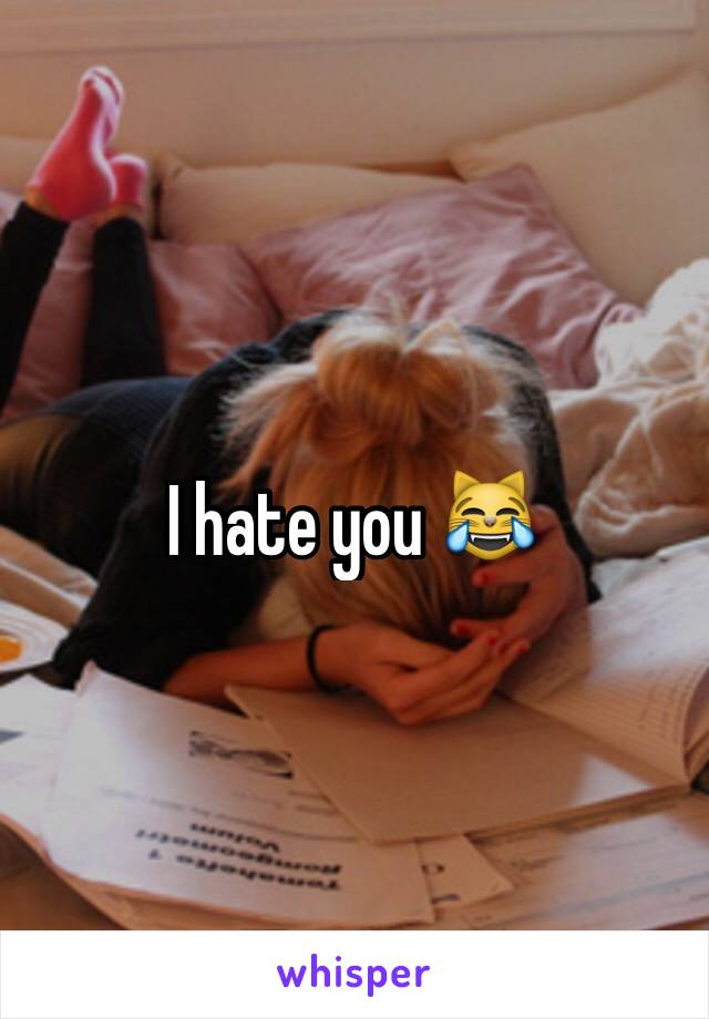 I hate you 😹
