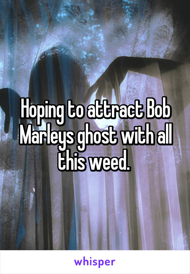Hoping to attract Bob Marleys ghost with all this weed. 