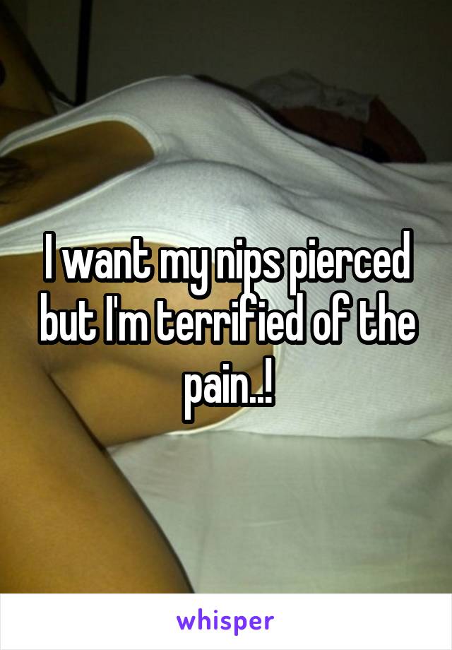 I want my nips pierced but I'm terrified of the pain..!