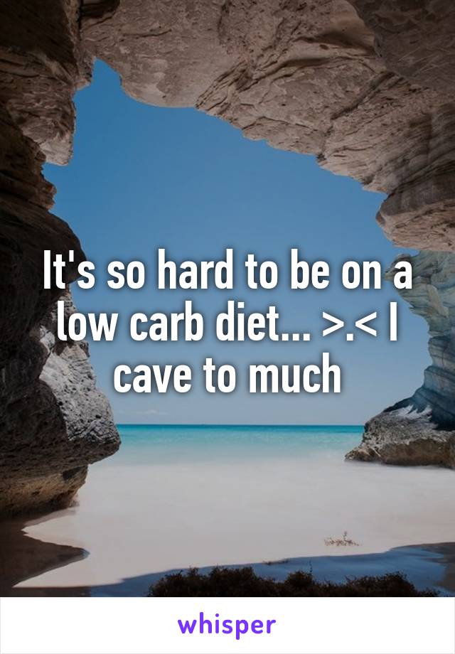 It's so hard to be on a low carb diet... >.< I cave to much