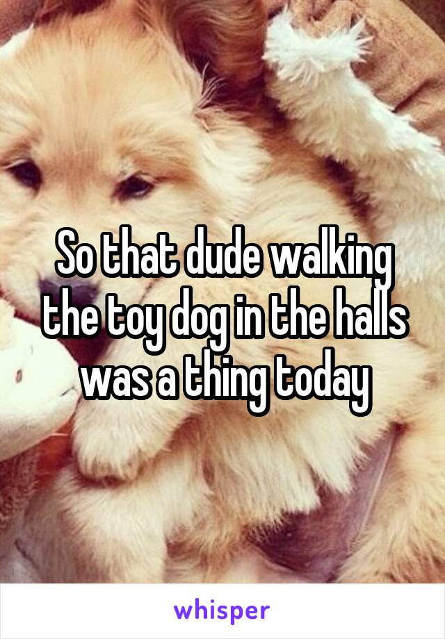 So that dude walking the toy dog in the halls was a thing today