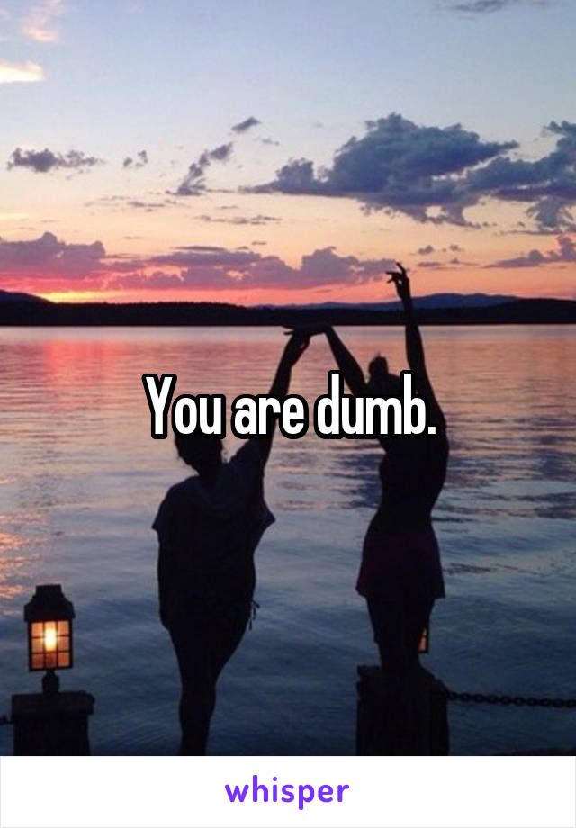You are dumb.
