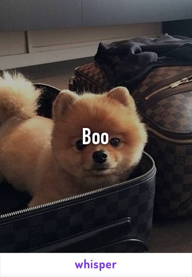 Boo