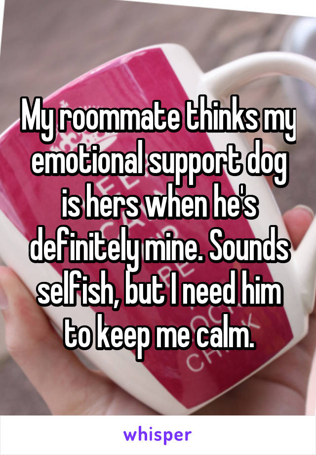 My roommate thinks my emotional support dog is hers when he's definitely mine. Sounds selfish, but I need him to keep me calm.