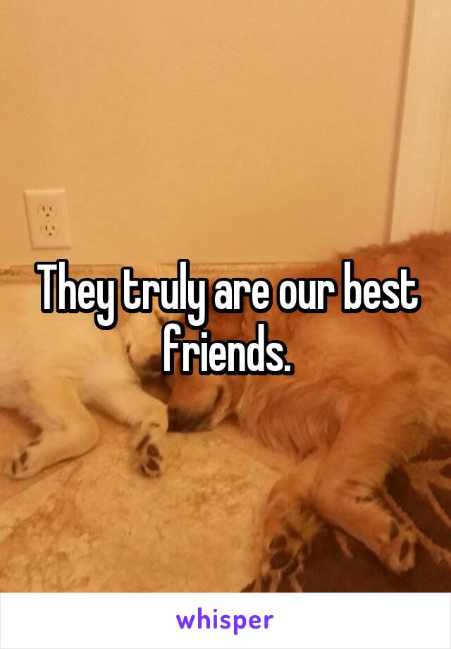 They truly are our best friends.