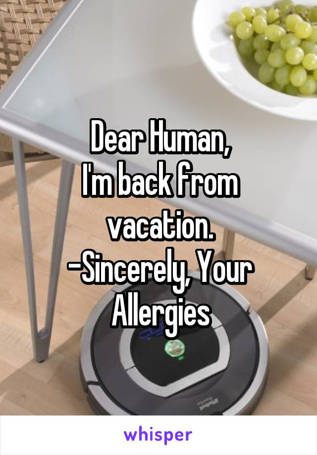 Dear Human,
I'm back from vacation.
-Sincerely, Your Allergies