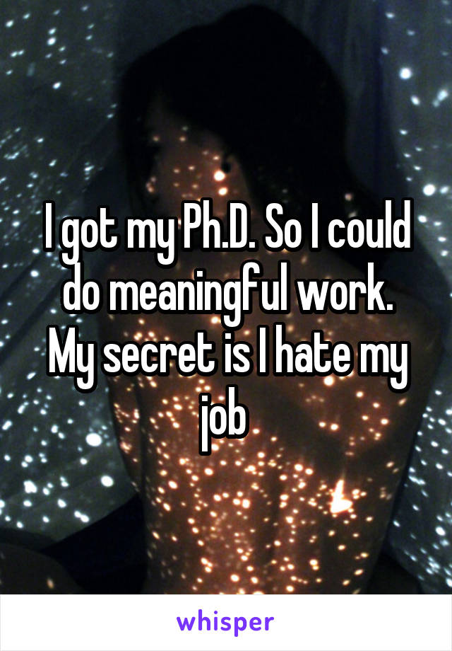 I got my Ph.D. So I could do meaningful work.
My secret is I hate my job 