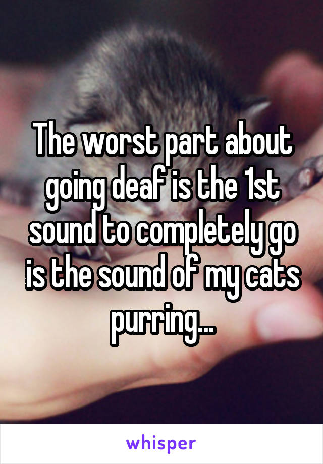 The worst part about going deaf is the 1st sound to completely go is the sound of my cats purring...