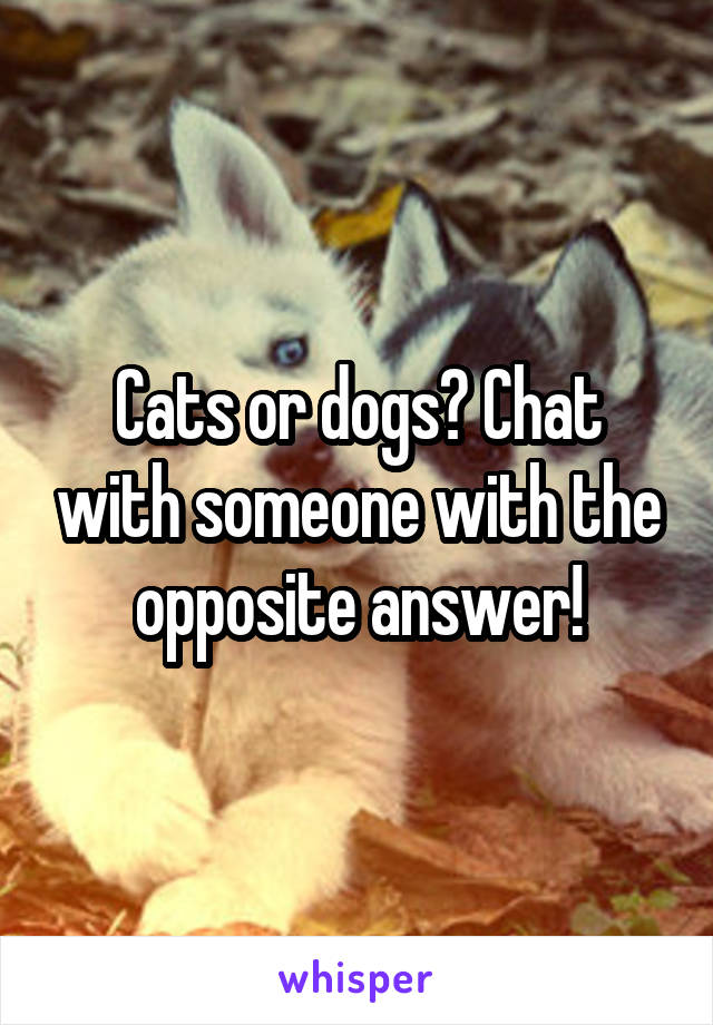 Cats or dogs? Chat with someone with the opposite answer!