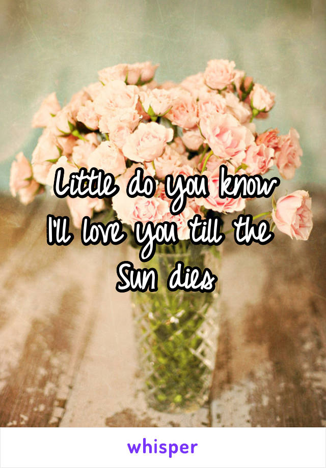 Little do you know
I'll love you till the 
Sun dies