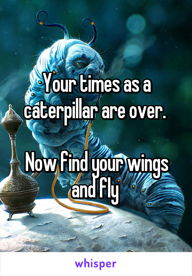 Your times as a caterpillar are over. 

Now find your wings and fly 